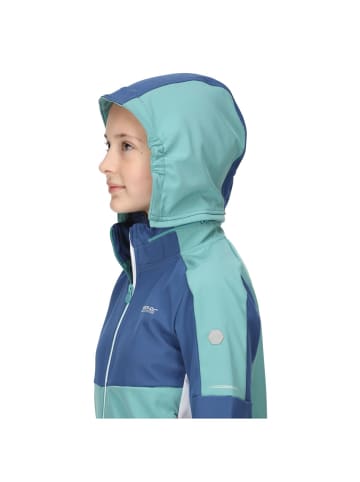 Regatta Softshelljacke Acidity VI in Türkis