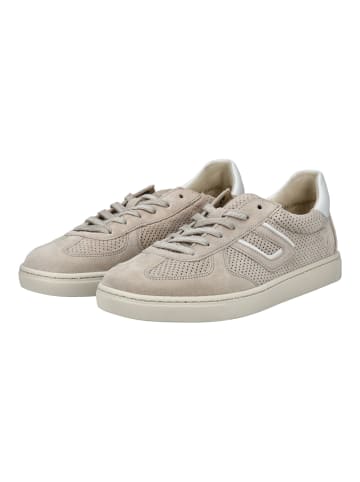 Gabor Sneaker in Beige