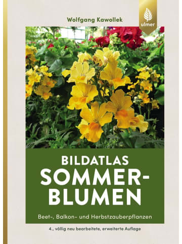 Ulmer Bildatlas Sommerblumen