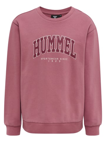 Hummel Sweatshirt Hmlfast Jungen in MESA ROSE