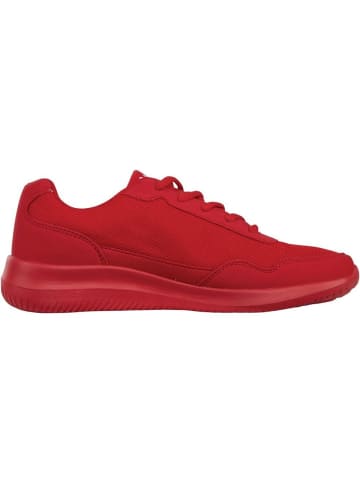 Lotto Sneaker "Connect Oc" in Lila