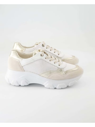 Paul Green Sneaker low in Beige