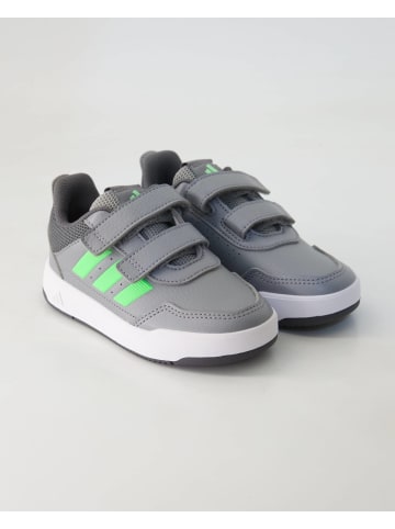 adidas Klettschuhe in Grau