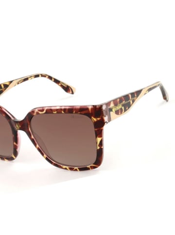 Kodak Sonnenbrille in Brown