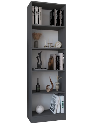 VCM  Holz Stand Regal Bücher Bücherregal Dilos XL 5f in Anthrazit
