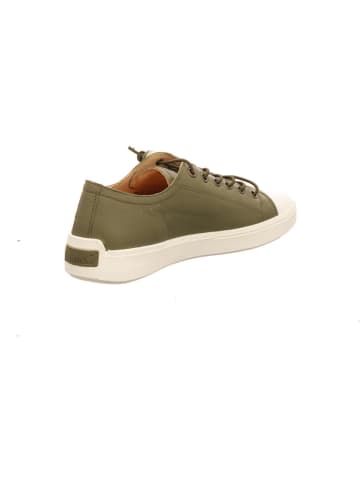 Think! Sneaker Low in oliv