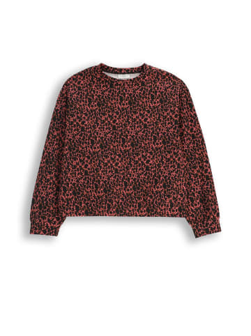 Coccodrillo Langarmshirt in bunt