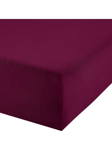 Erwin Müller Single-Jersey Bio Boxspring-Spannbettlaken Bayreuth in weinrot