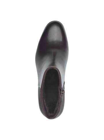 Marco Tozzi Stiefelette in MOCCA