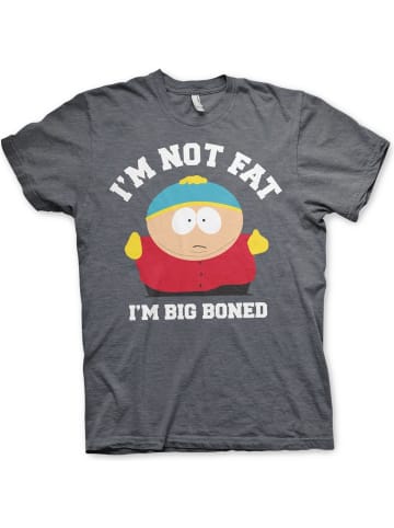 South Park T-Shirt in Grau