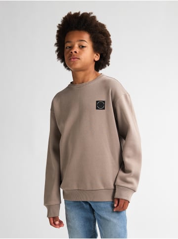Petrol Industries Logo Sweatshirt Adirondack in Braun