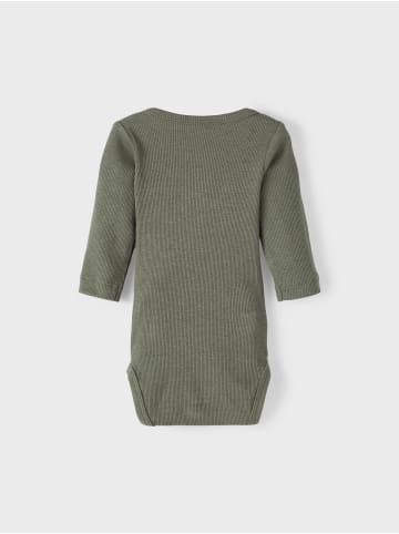 name it Grandad Langarmbody in beetle