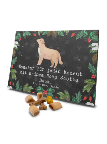 Mr. & Mrs. Panda Hund Adventskalender Nova Scotia Duck Moment mi... in Kreidetafel