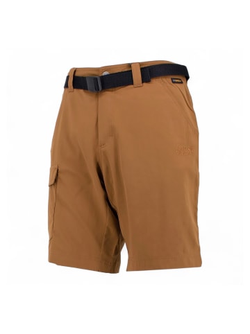 Jack Wolfskin Shorts Hoggar in Braun
