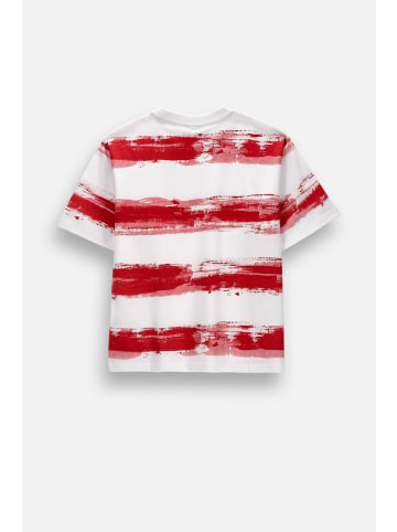 Coccodrillo Baumwoll-t-shirt mit kurzen ärmeln in rot