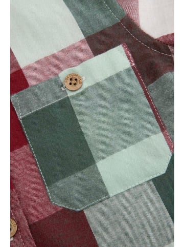 Coccodrillo Langarmhemd in bunt