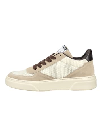 Steve Madden Sneaker in Beige