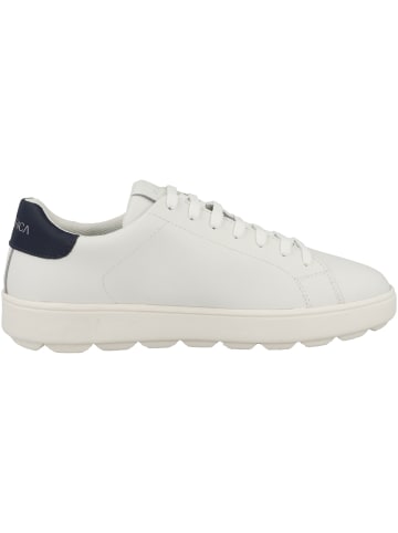 Geox Sneaker low D Spherica Ecub-1 A in weiss