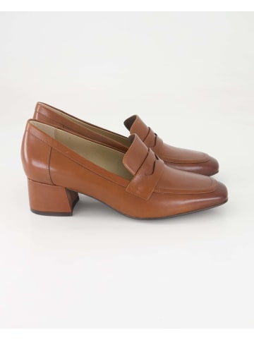 Terry Slipper in Braun