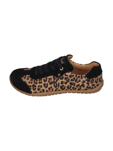 KOEL Sneaker Low IVA in natur