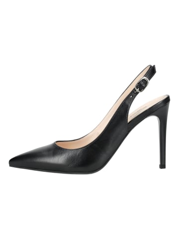 Nero Giardini Pumps in Schwarz