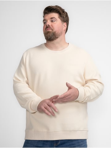 Petrol Industries Lässige Sweater in Plus Size Kavik in Braun