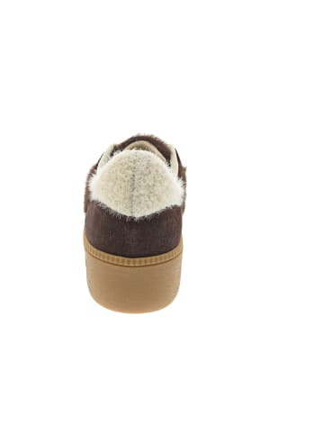 Back 70 XXL FW26 Sneaker low Braun
