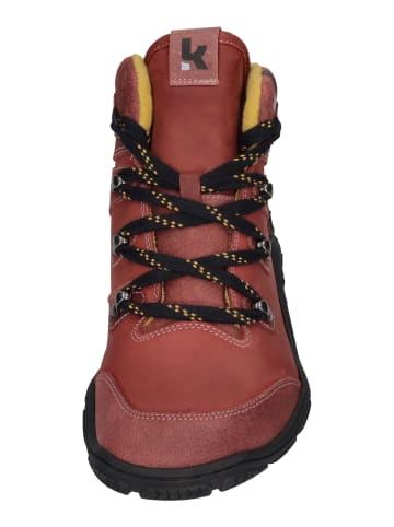 KOEL Stiefeletten ROBA MERINO in rosa