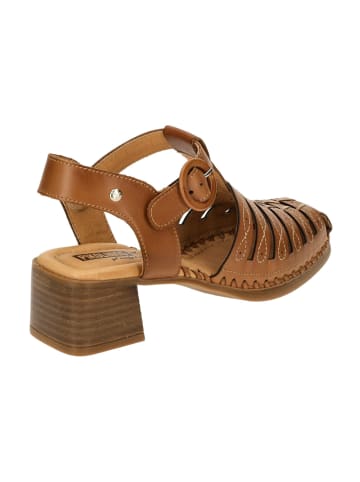 Pikolinos Römersandalen in Braun