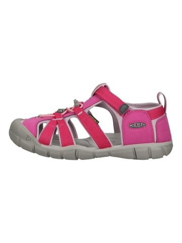 Keen Wanderschuhe in Pink