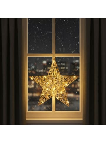 Home&Styling Collection Weihnachtsdeko, LED-Stern in Gold, (B) 9 x (H) 40 x (L) 40 cm