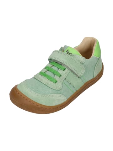 KOEL Sneaker Low DYLAN COTTON 3.0 in grün