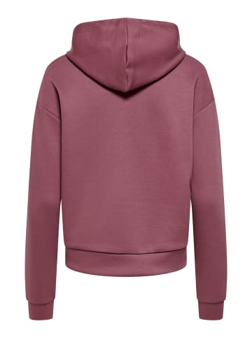 Only Play Kapuzenpullover in Rose Brown