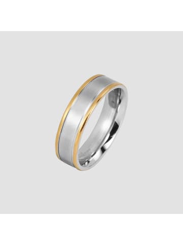 Adeliás Herren Ring aus Edelstahl in silber