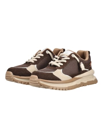 Blowfish Sneaker LEOTINA Espresso