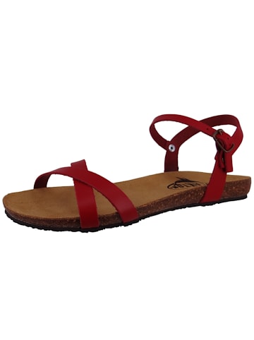 Plakton Sandalen rot