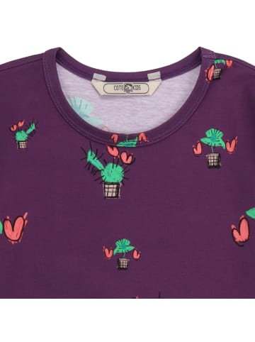 Walkiddy Langarmshirt Flycatcatcher 34-Shirt