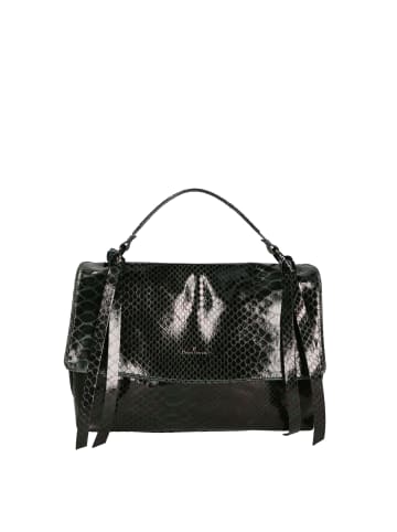 Chiara Ferretti Handtasche in BLACK