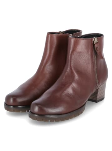 Gabor Ankle Boots in Braun