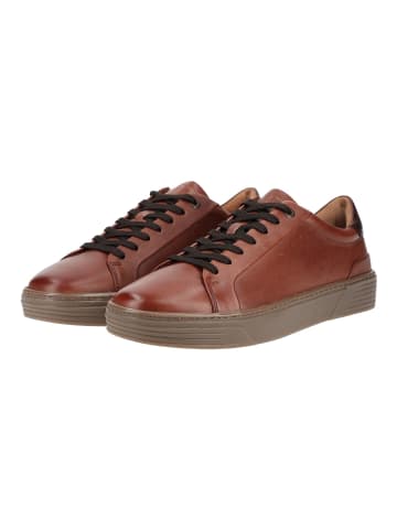Marco Tozzi Sneaker Cognac