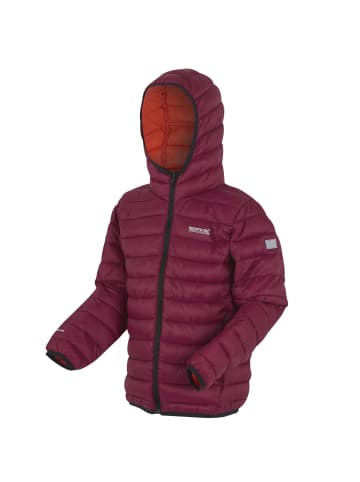 Regatta Marizion Baffle-Jacke / Steppjacke mit Kapuze in Dunkelrot
