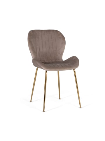 Giner y Colomer 4-er Set:  Stühlen mit Samtbezug und Stahlgestell in Gray