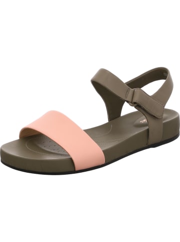 LA SPORTIVA Wanderschuh in grau