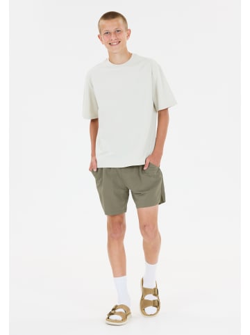 Les'Arcs Boardshorts Smiler in 3248 Mulled Basil