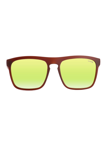 Sinner Sonnenbrille SINNER Thunder X Sunglasses in brown