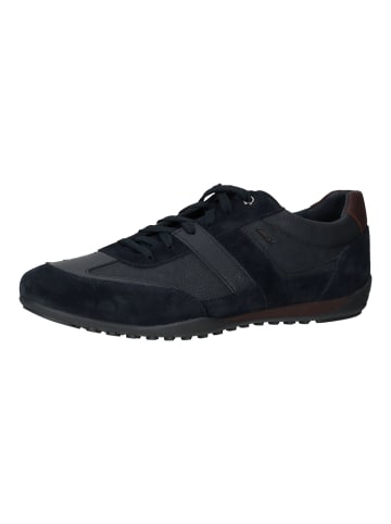 Geox Sneaker in Blau