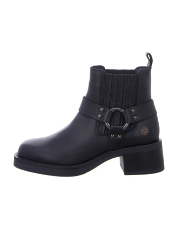 Apple of Eden Westernstiefeletten in Schwarz