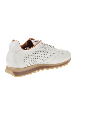 Cetti Sneaker low C-848 EXP V24 in Weiß