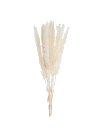 Butlers Butlers Trockenblumen FLOWER MARKET Pampasgras in Beige