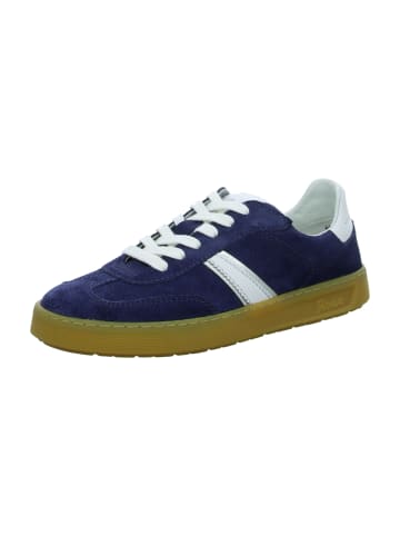 Sioux Sneaker Low in Blau